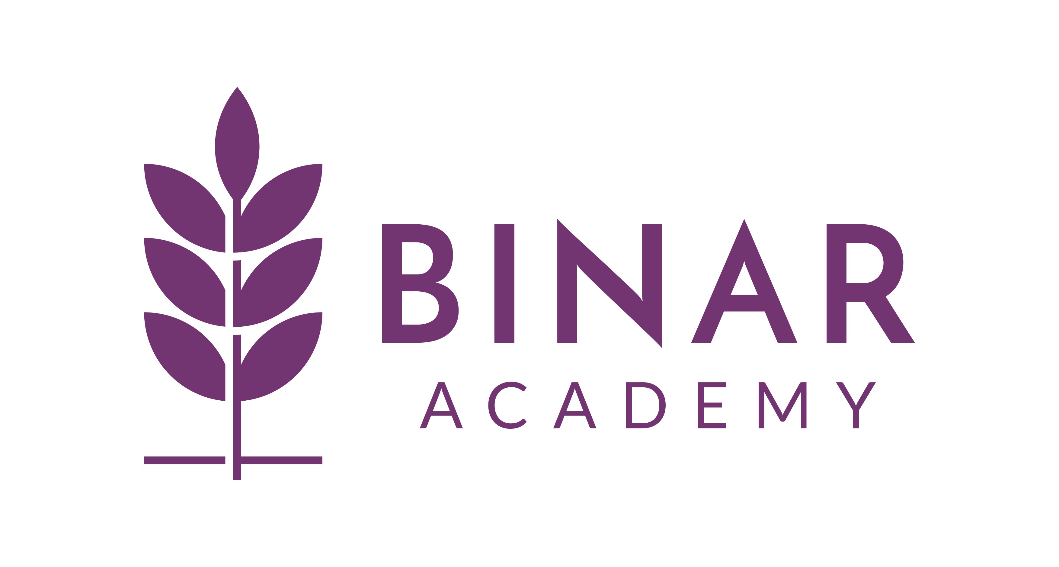 Binar Academy